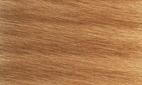 Toppers van kamelenhaar en paardenhaar